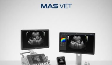 اجهزة ايكو ( سونار = ألتراسوند )