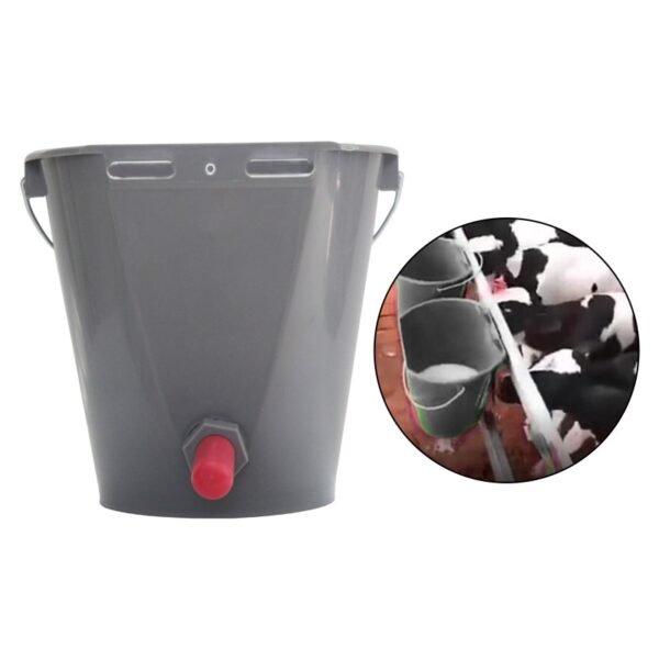 464b169b26f31a30ce79d5f3db4d2b49_800x600