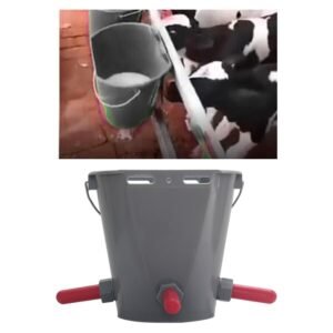 جردل عجول بثلاث حلمات