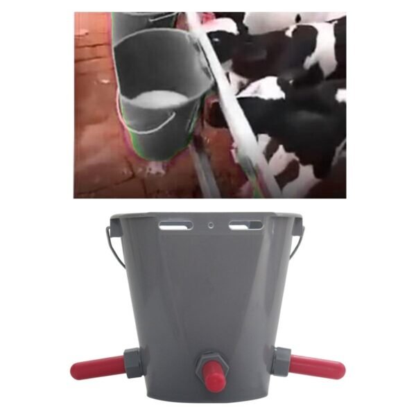 608e44cbe3795e2f5f116b2b0a7a2dd8_800x600