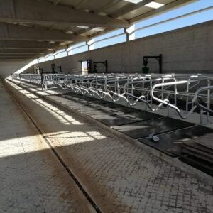 ⁦فرشات ابقار - أرضيات مطاطية للأبقار⁩ - الصورة ⁦3⁩