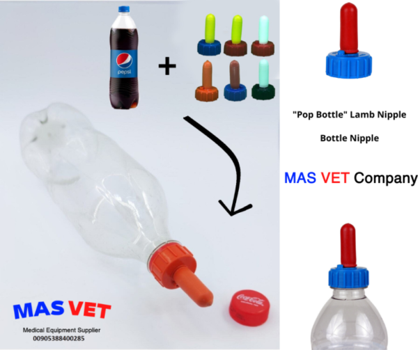 9c69fc8dbf8a8df8a7cbe41be6a9201d_800x600