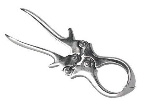 أداة خصاية اغنام - بورديزو - خصاية بدون دم للحملان، طول ٢٣ سم