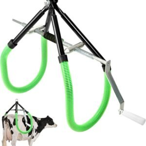 حامل حرقفي ممتاز