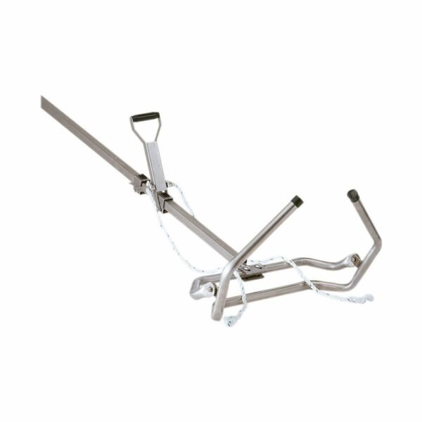 كريكو توليد الابقار