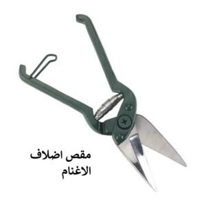 مقص حوافر اغنام ، بأسنان، طول ٢٦ سم، أخضر