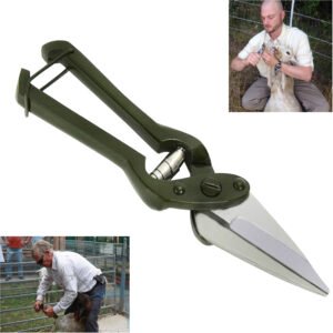 مقص حوافر اغنام ، بدون أسنان، طول ٢٦ سم، أخضر
