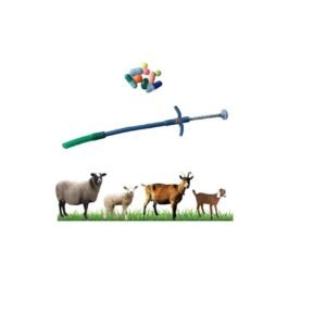 دفاش حبوب للاغنام و الماعز